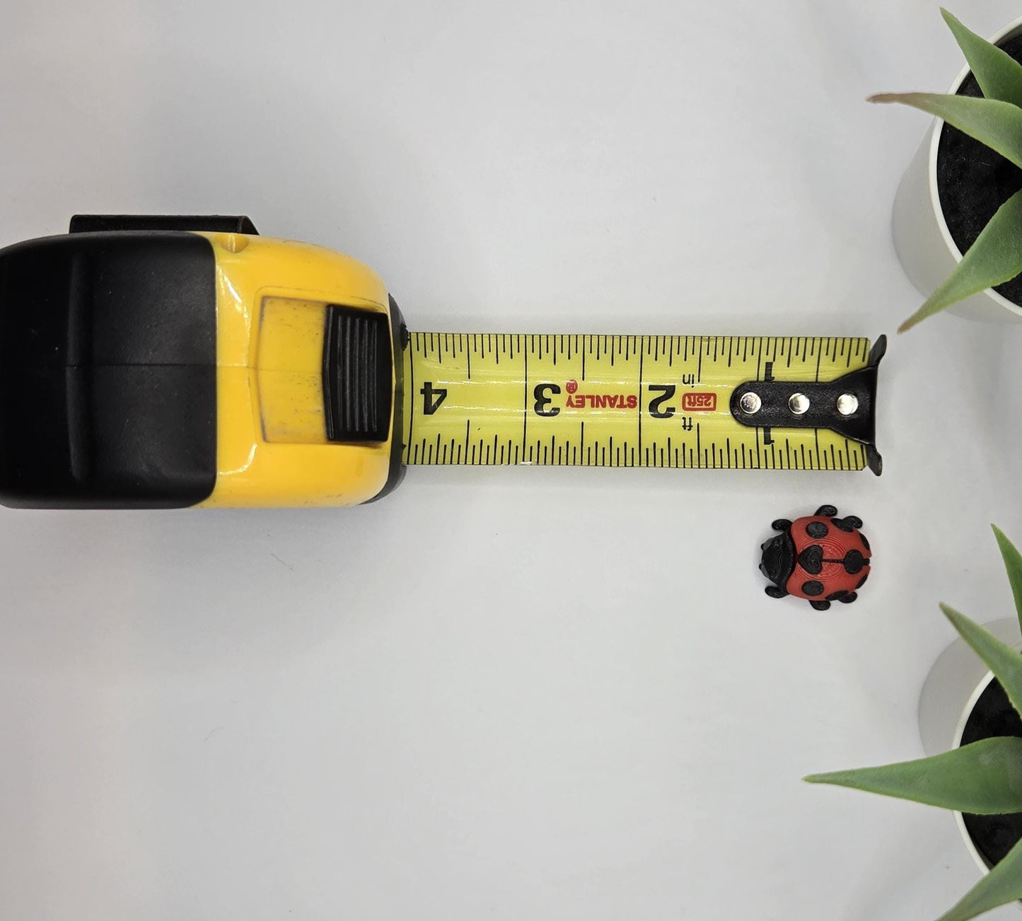 Ladybug Fidget Animal