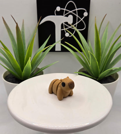Capybara Fidget Animal