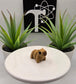 Capybara Fidget Animal
