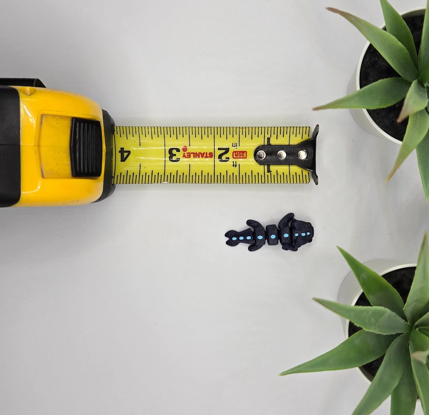 Dragon Fidget Animal