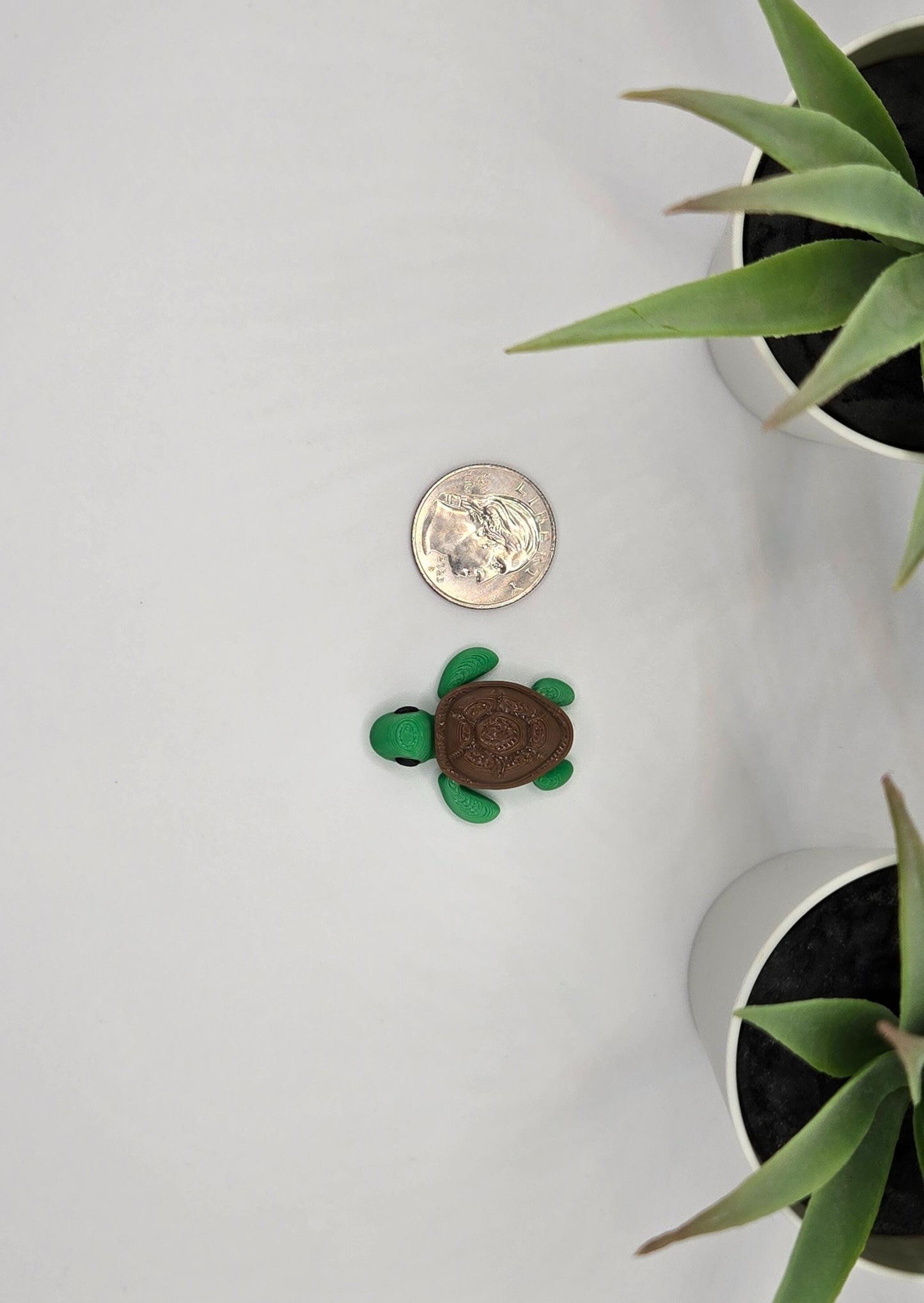 Turtle Fidget Animal