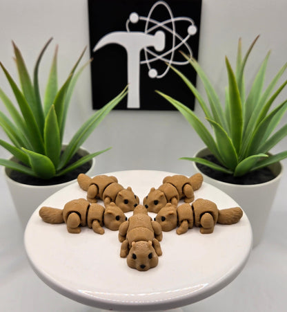 Chipmunk Fidget Animal