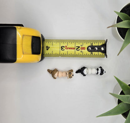 Ferret Fidget Animal