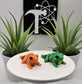 Iguana Fidget Animal