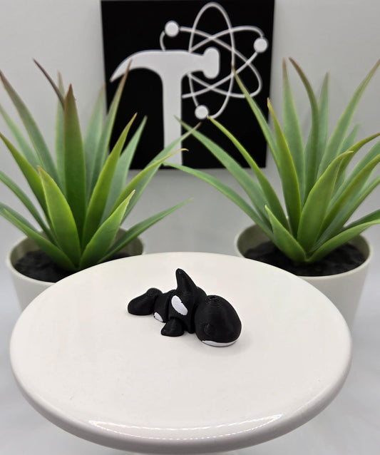 Orca Killer Whale Fidget Animal