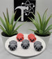 Koala Fidget Animal