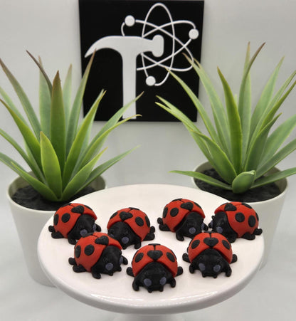 Ladybug Fidget Animal
