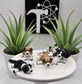 Dog Fidget Animal