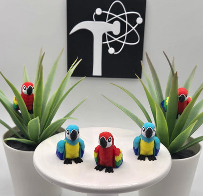 Macaw Parrot Fidget Animal