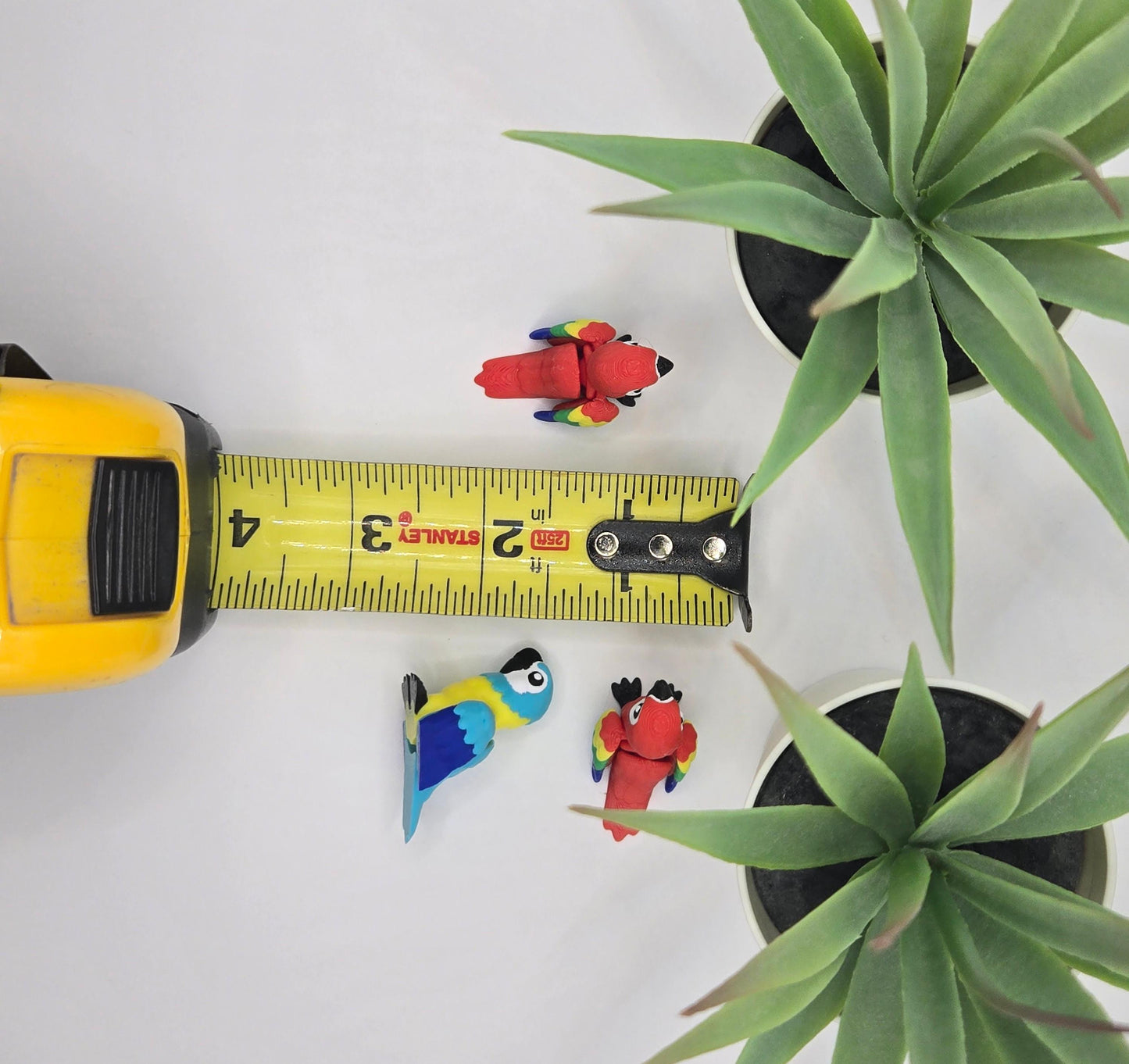 Macaw Parrot Fidget Animal