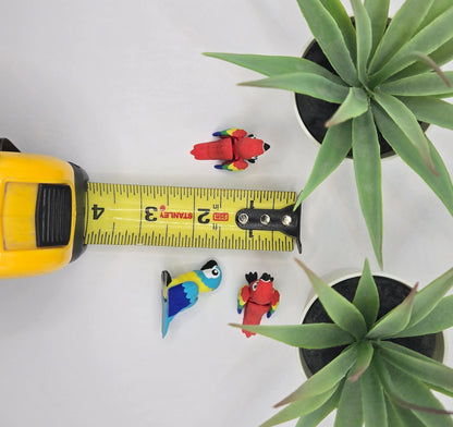 Macaw Parrot Fidget Animal