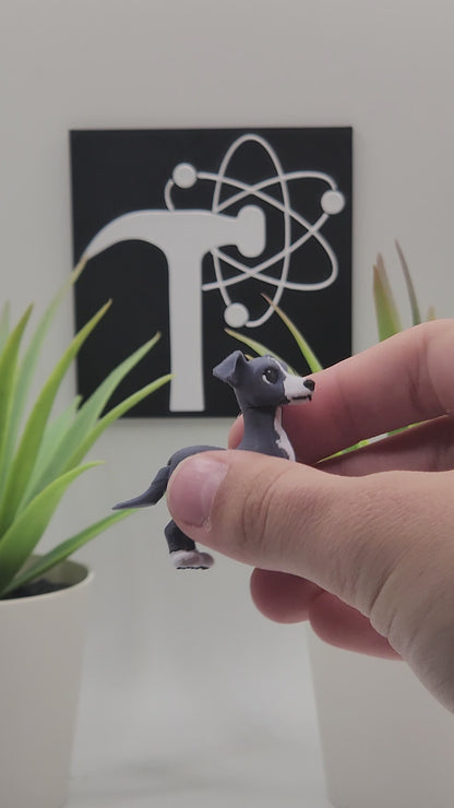 Italian Greyhound Dog Fidget Animal