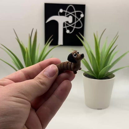 Dachshund Dog Fidget Animal