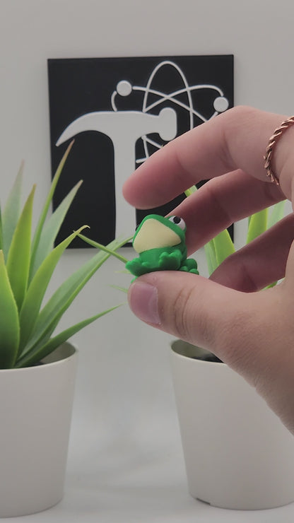 Frog Fidget Animal
