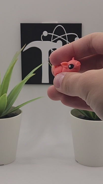 Pig Fidget Animal