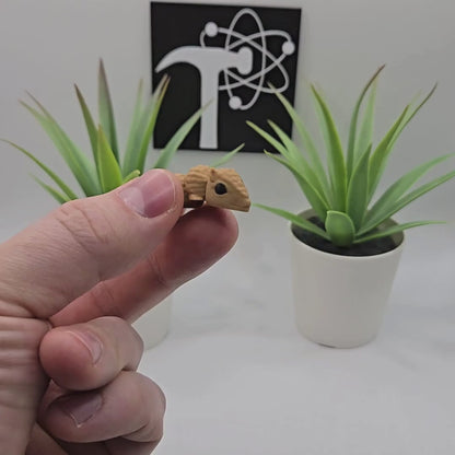 Armadillo Fidget Animal