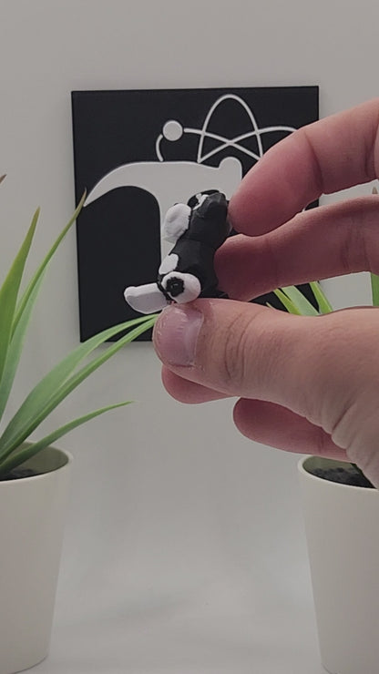 Schnauzer Dog Fidget Animal