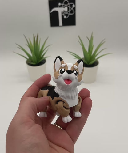 Corgi Dog Fidget Animal