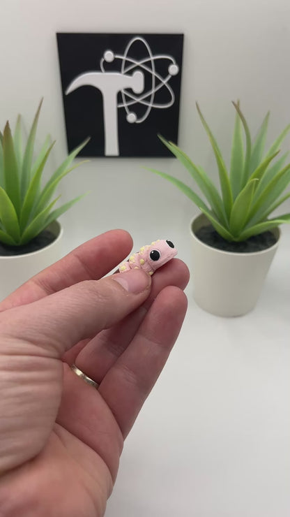 Caterpillar Fidget Animal