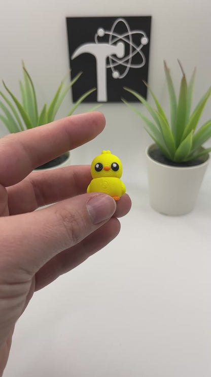 Baby Chick Fidget Animal