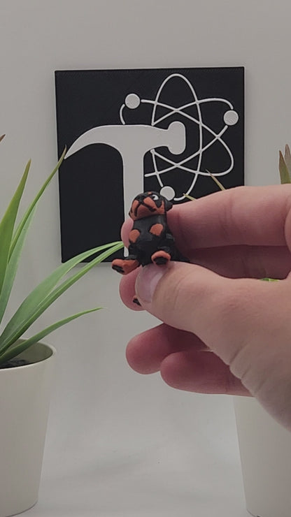 Rottweiler Dog Fidget Animal