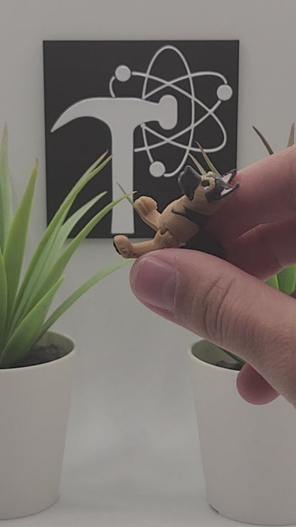 German Shepherd Dog Fidget Animal