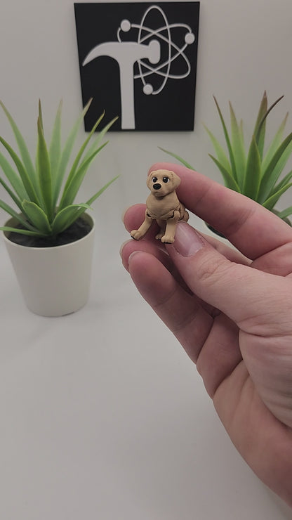 Golden Retriever Dog Fidget Animal