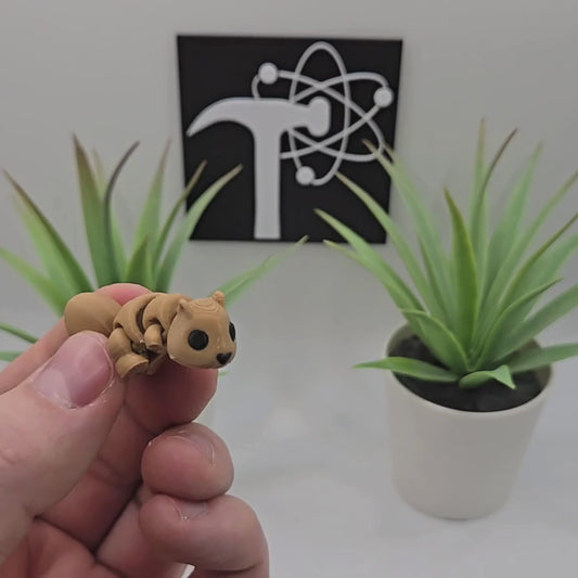 Squirrel Fidget Animal