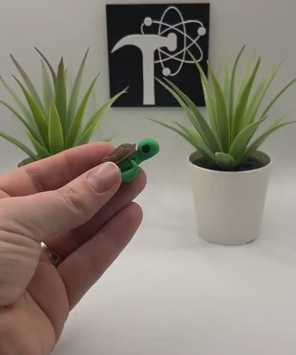 Turtle Fidget Animal