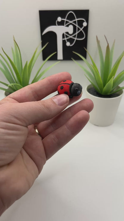 Ladybug Fidget Animal