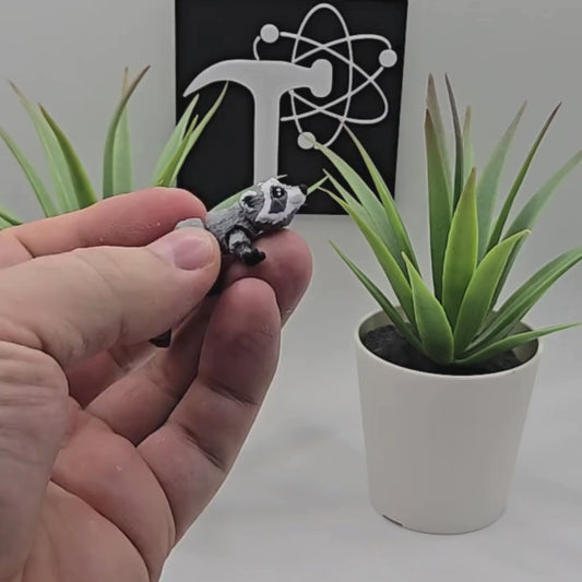 Raccoon Fidget Animal
