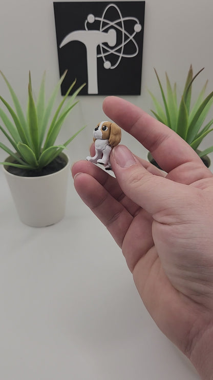 King Charles Spaniel Dog Fidget Animal