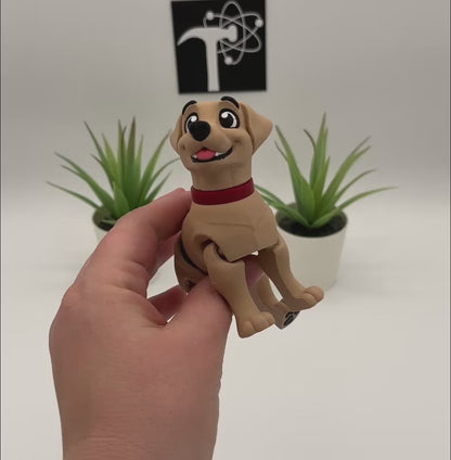 Labrador Retriever Dog Fidget Animal