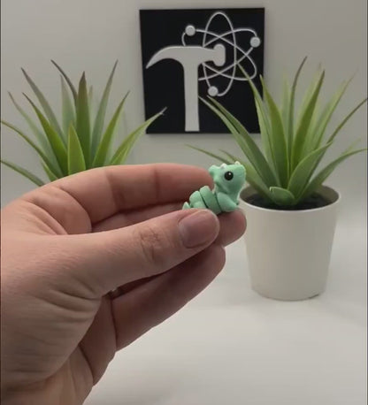 Triceratops Fidget Animal