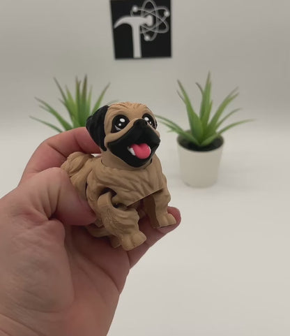 Pekingese Dog Fidget Animal