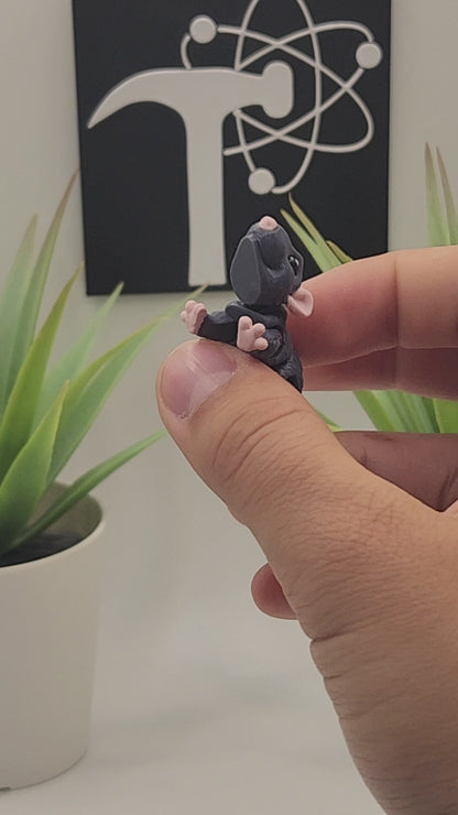 Rat Fidget Animal