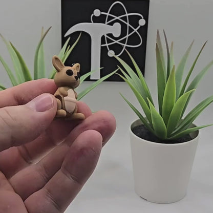 Kangaroo Fidget Animal