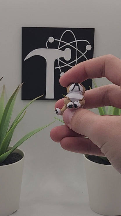 English Bulldog Dog Fidget Animal