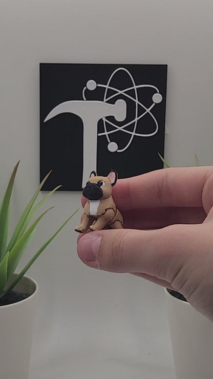 French Bulldog Dog Fidget Animal