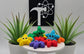 colorful articulated starfish on a white pedestal with two plants and the Crafticist logo in the background.